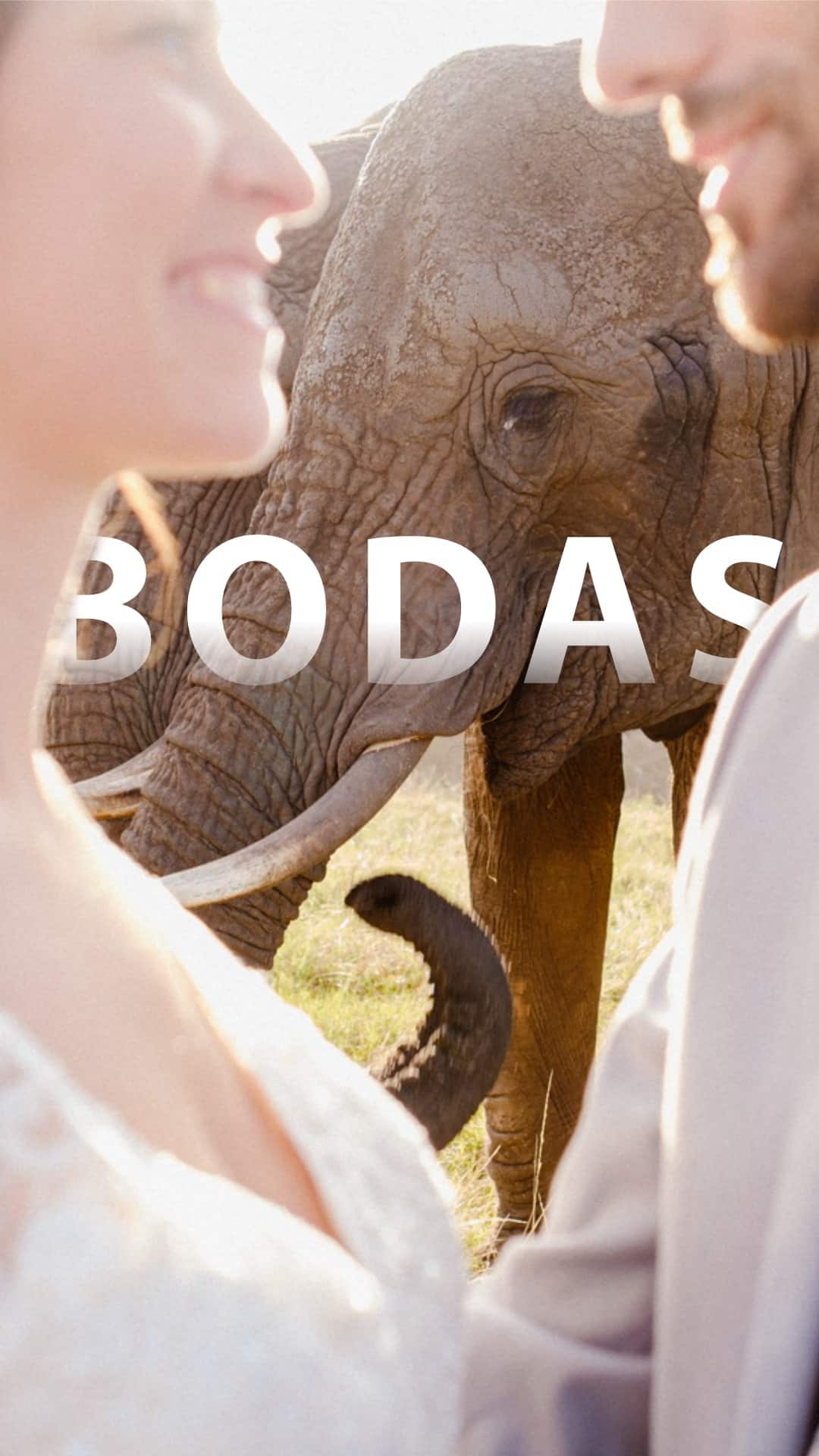 Bodas en Sudáfrica