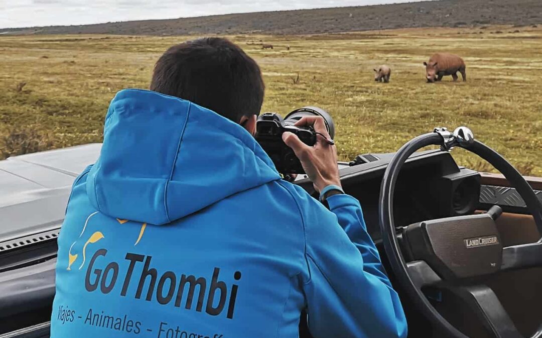Cómo hacer fotografías respetuosas de fauna en un safari