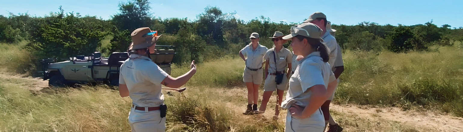 Clase en el bush con guías de safari