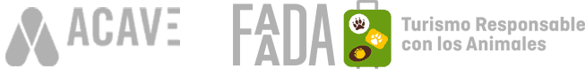 acave faada