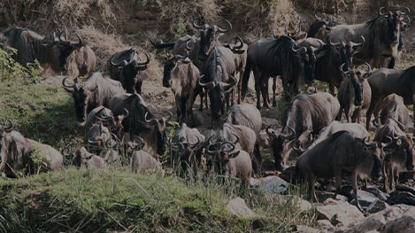 Tanzania