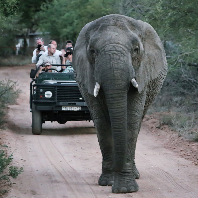 para-quien-es-este-curso