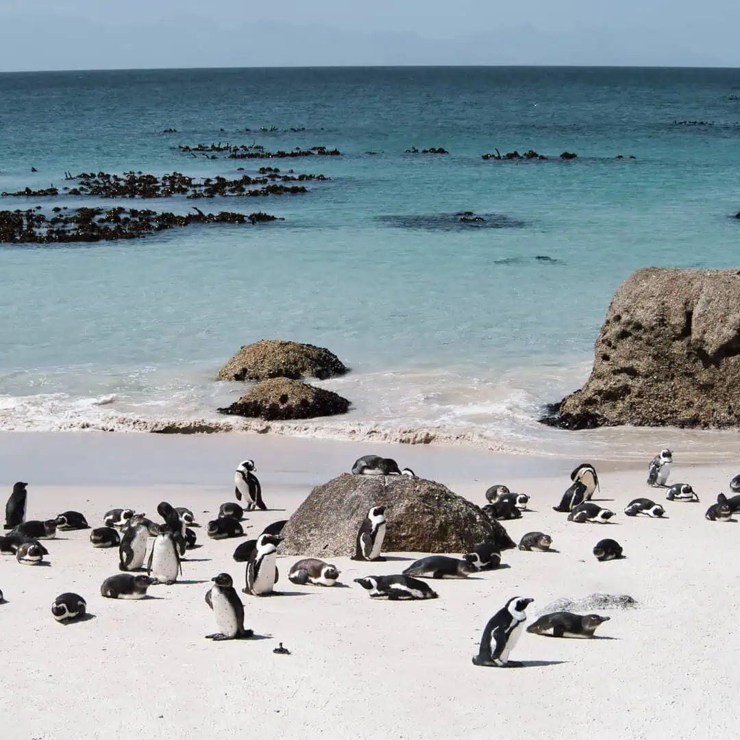 Viajes personalizados