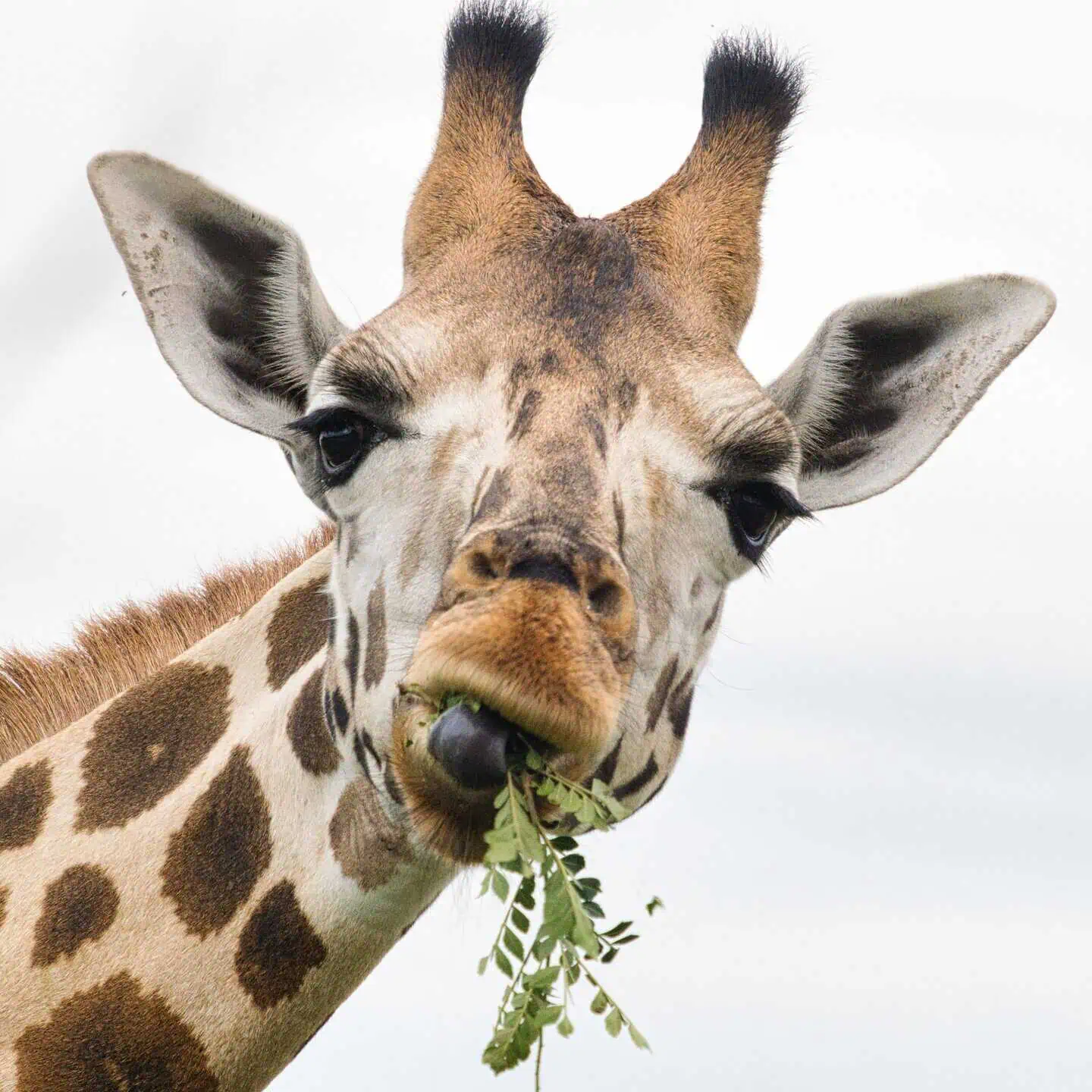 Viajes personalizados