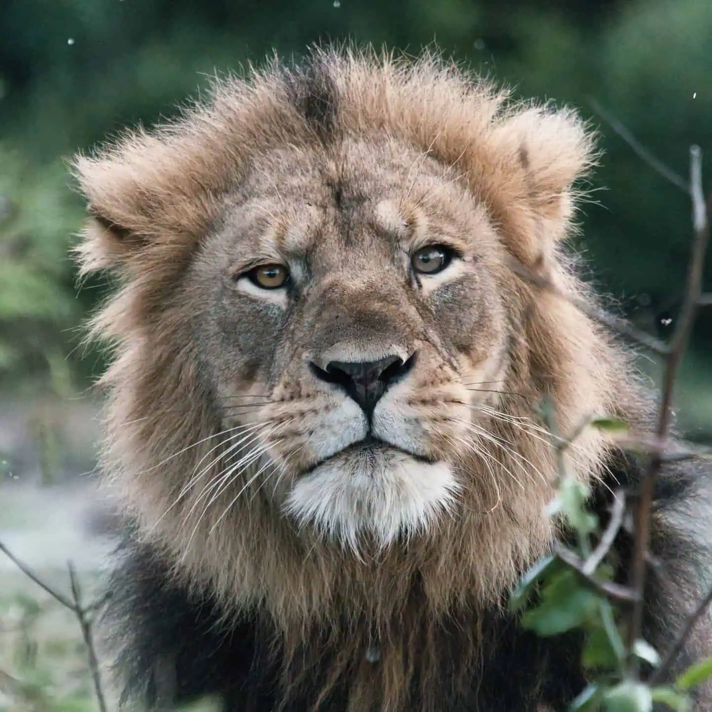 Viajes personalizados