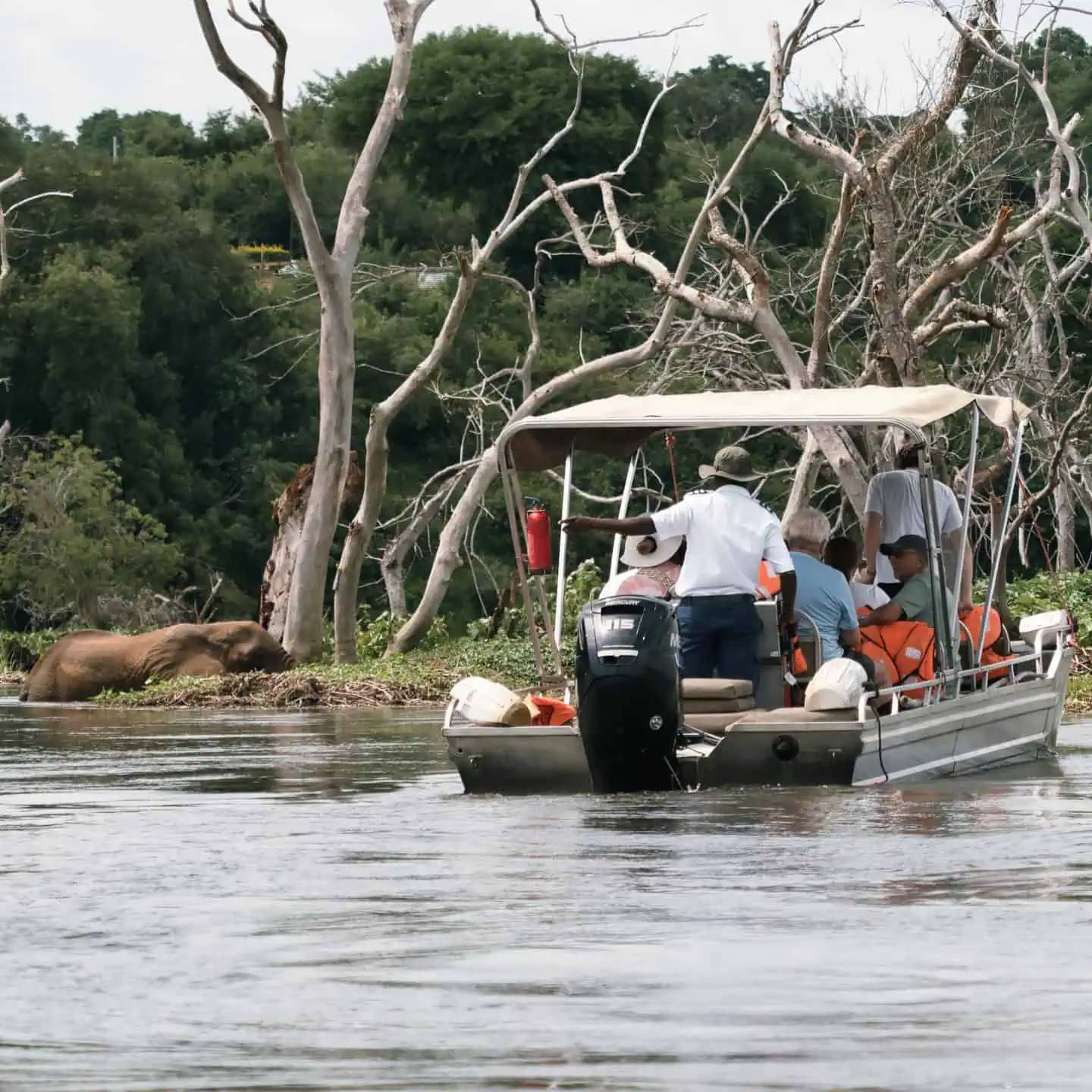Viajes personalizados