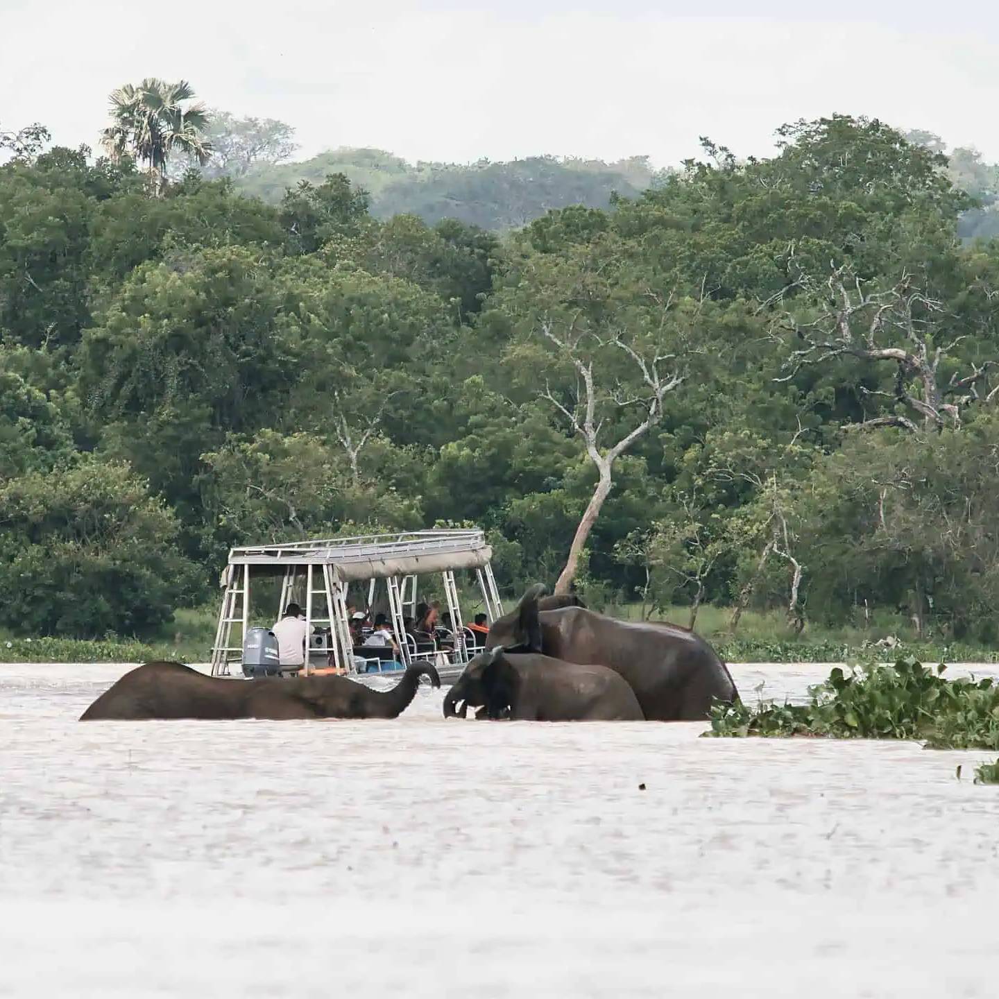 Viajes personalizados