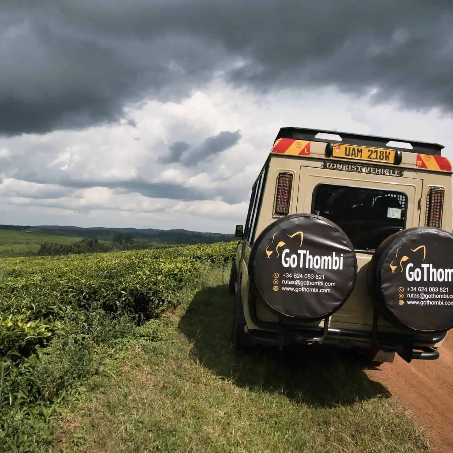 Viajes personalizados