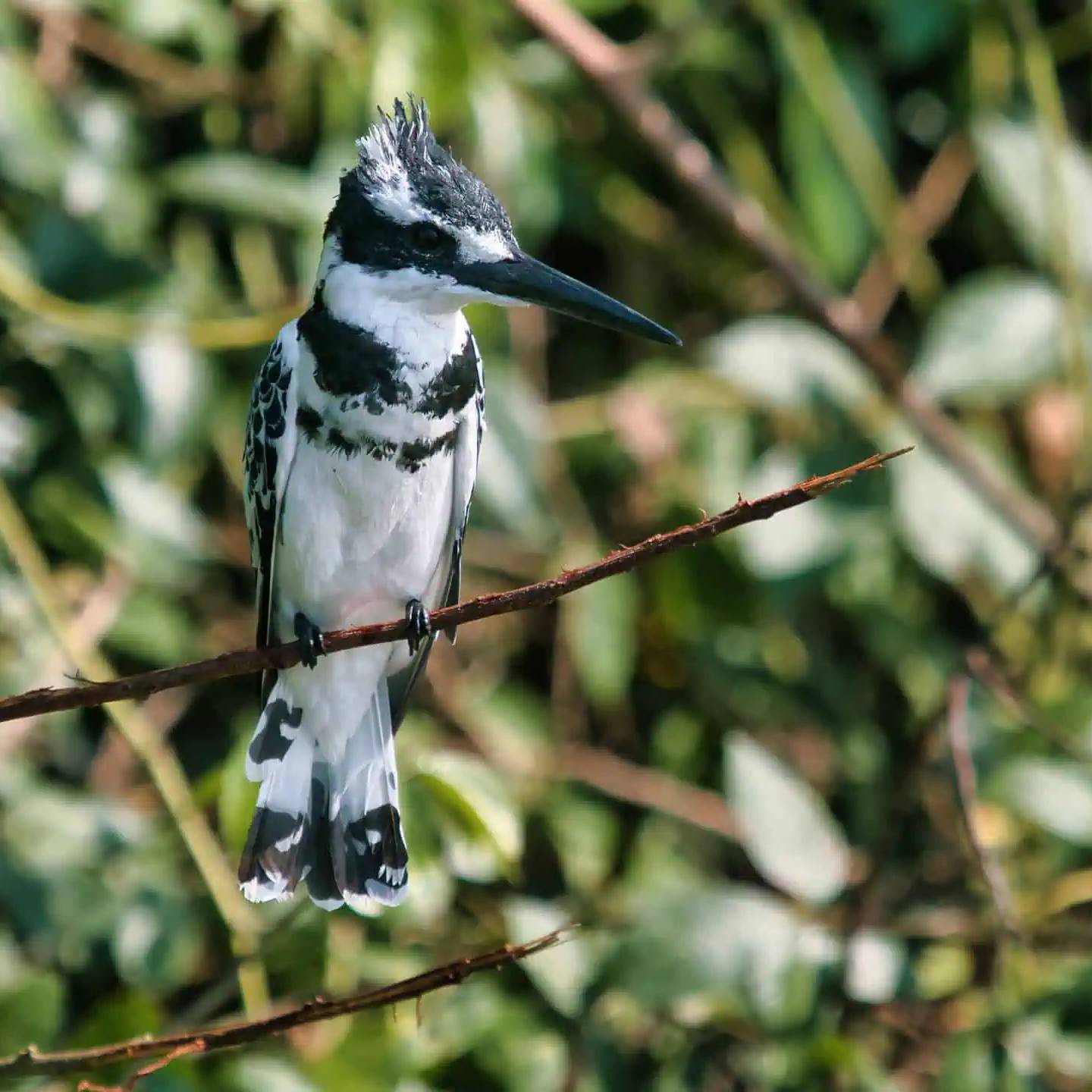 Viajes personalizados