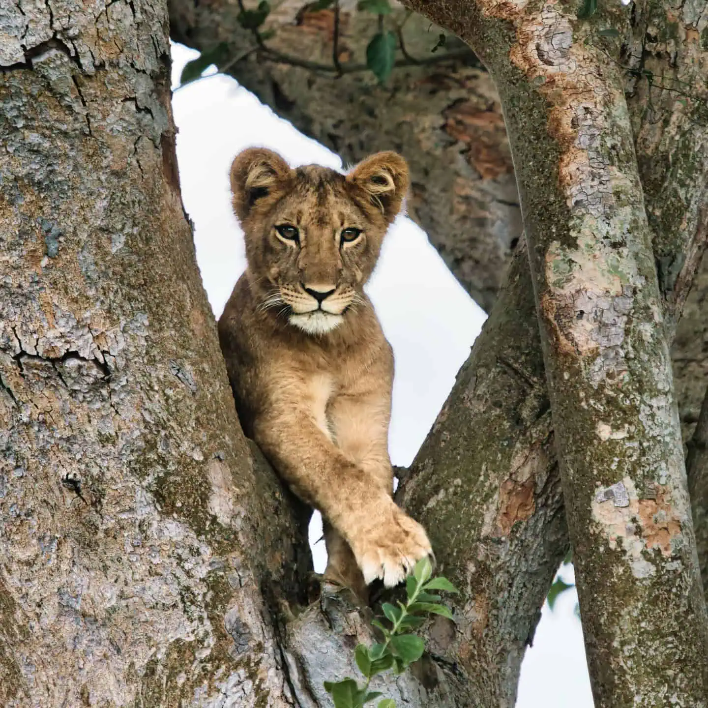 Viajes personalizados