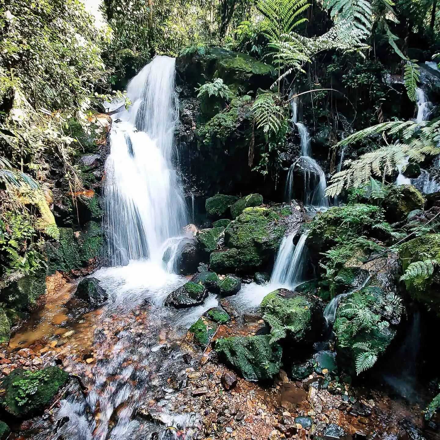 Viajes personalizados