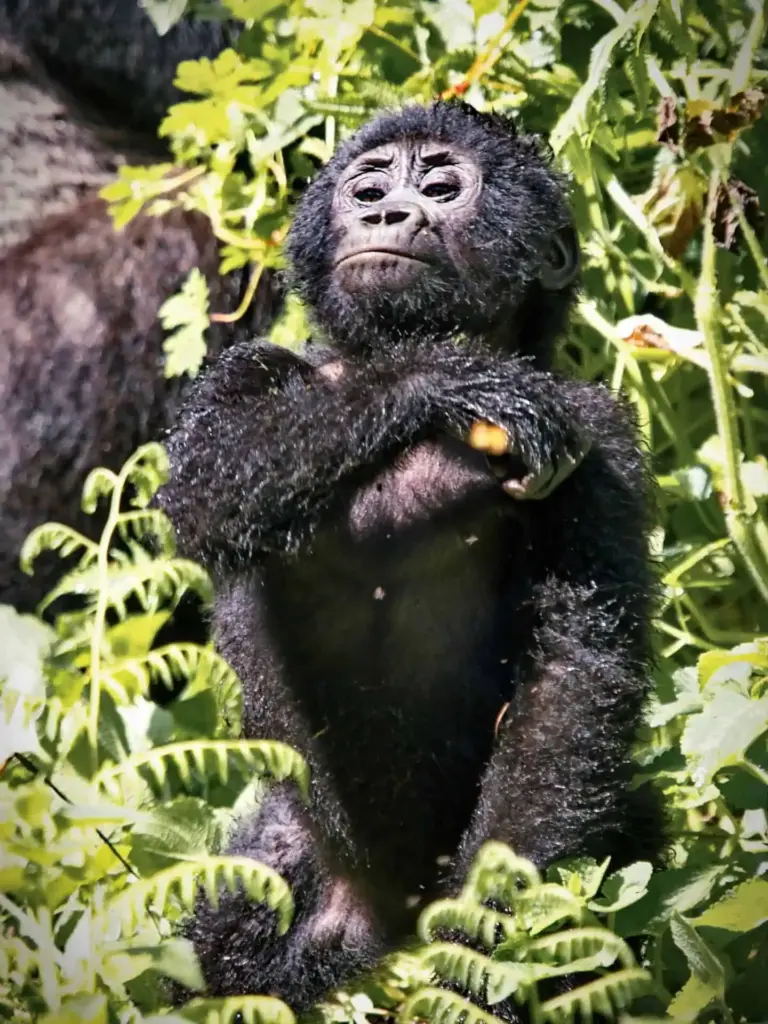 Bienvenido a Tanzania